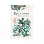 Ephemera set Naturalist – Flowers and Leaves, 13 pcs (190gsm, cut with a white margin15x10cm paper bag)