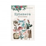 Ephemera set Naturalist, 12 pcs (240gsm, 15x10cm paper bag)
