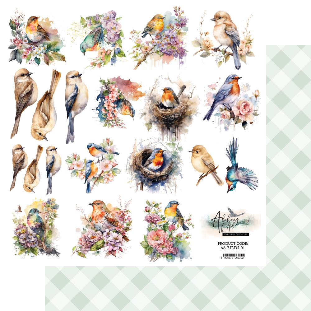 Double-sided paper 30,5x30,5 cm Soul of Spring – Birds – extras to cut, 250 gsm (1 sheet)