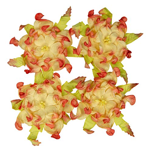 Handmade mulberry Gardenia, dia ~7cm, 4 pcs, CREAM-ORANGE Handmade mulberry Gardenia, dia ~7cm, 4 pcs, CREAM-ORANGE