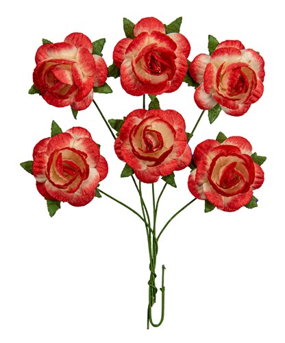 Handmade mulberry Jubilee roses, dia ~2,5cm, stem 6cm, 6 pcs, WHITE-RED Handmade mulberry Jubilee roses, dia ~2,5cm, stem 6cm, 6 pcs, WHITE-RED