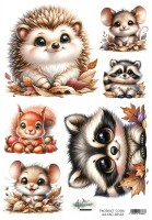 Rice paper 3, In Autumn Colors, A4 (21x29,7cm) 25-30g