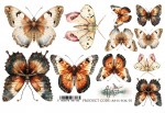 Transparent foil In Silence – Butterflies, A5, 14,8x21cm, 70g (1 sheet)