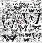 Transparent foil Butterfly Garden 30x30x0,25 cm, matte black print (1 sheet)