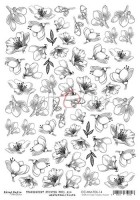 Transparent black printed foil 14 (21,0x29,7cm, 100 microns)