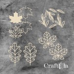 Set of Chipboard Leaves with a shaker 3 ( largest 8x8x0,15cm)