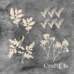 Set of Chipboard Herbarium Plants ( largest 7x4x0,15cm)