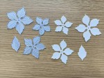 Die Poinsettias - Dia 6,2 cm. 5,2 cm, 4,3cm cm