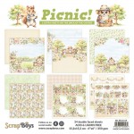 Paper Collection Set 15x15cm Picnic, 250 gsm (24 sheets, 12 designs, 4x6 double-sided sheets, 2 bonus designs)