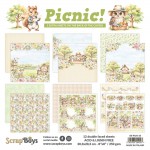 Paper Collection Set 20,3x20,3cm Picnic, 250 gsm (12 sheets, 12 designs, 2x6 double-sided sheets, 2 bonus designs)