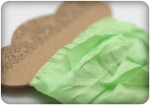 Shabby ribbon, fresh green, 15mm, 1m
